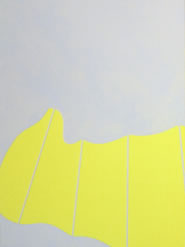 marcel peltier, coccon, 2007