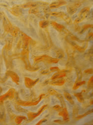 marcel peltier, black, yellow, orange, diptychon, 2005