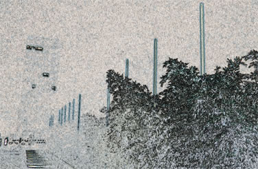 marcel peltier, struktur i, 2010